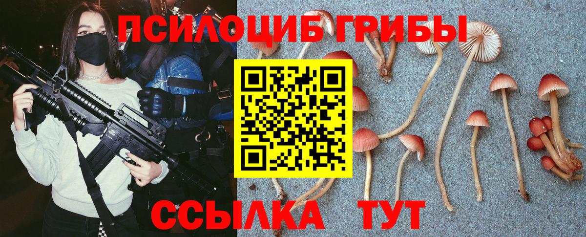 Псилоцибиновые грибы Psilocybine cubensis  Вход с VPN  Псков 