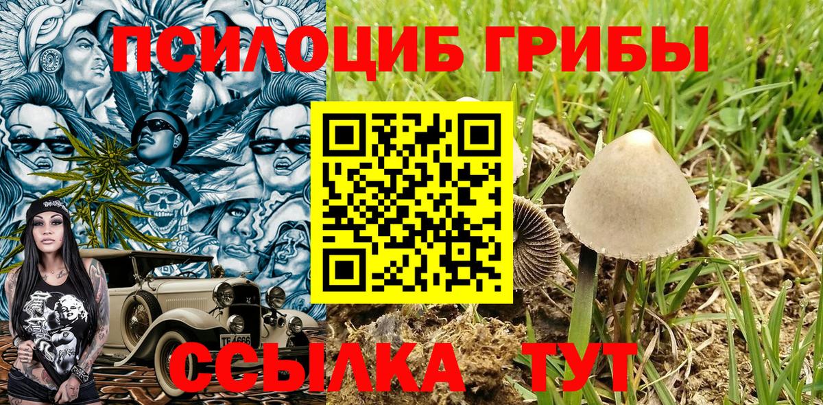 Псилоцибиновые грибы Cubensis Псков
